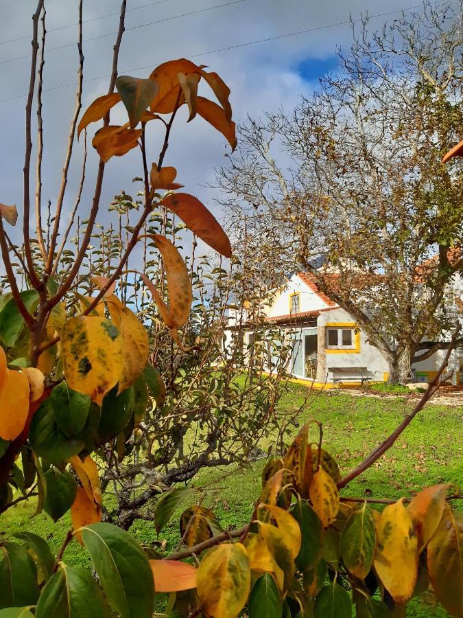 Quintal Do Freixo - Country House Sobral de Monte Agraço Exteriör bild
