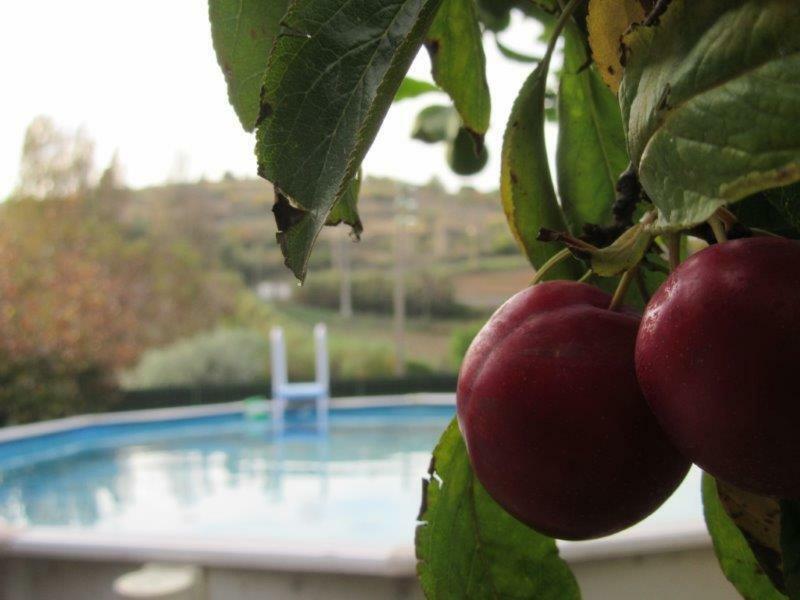 Quintal Do Freixo - Country House Sobral de Monte Agraço Exteriör bild